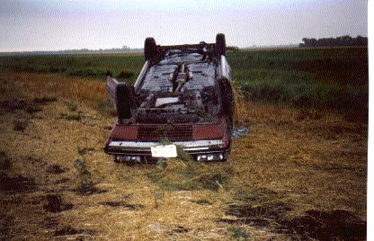 My Celebrity lying in the field