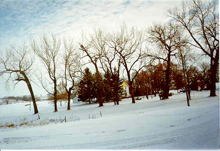 Our farm during the winter